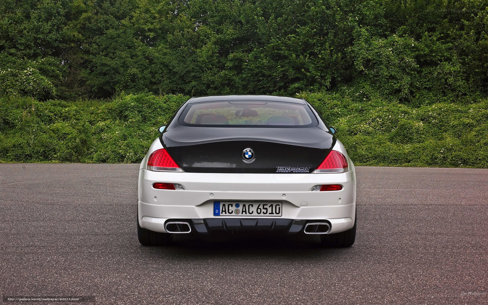 white bmw coupe rear view