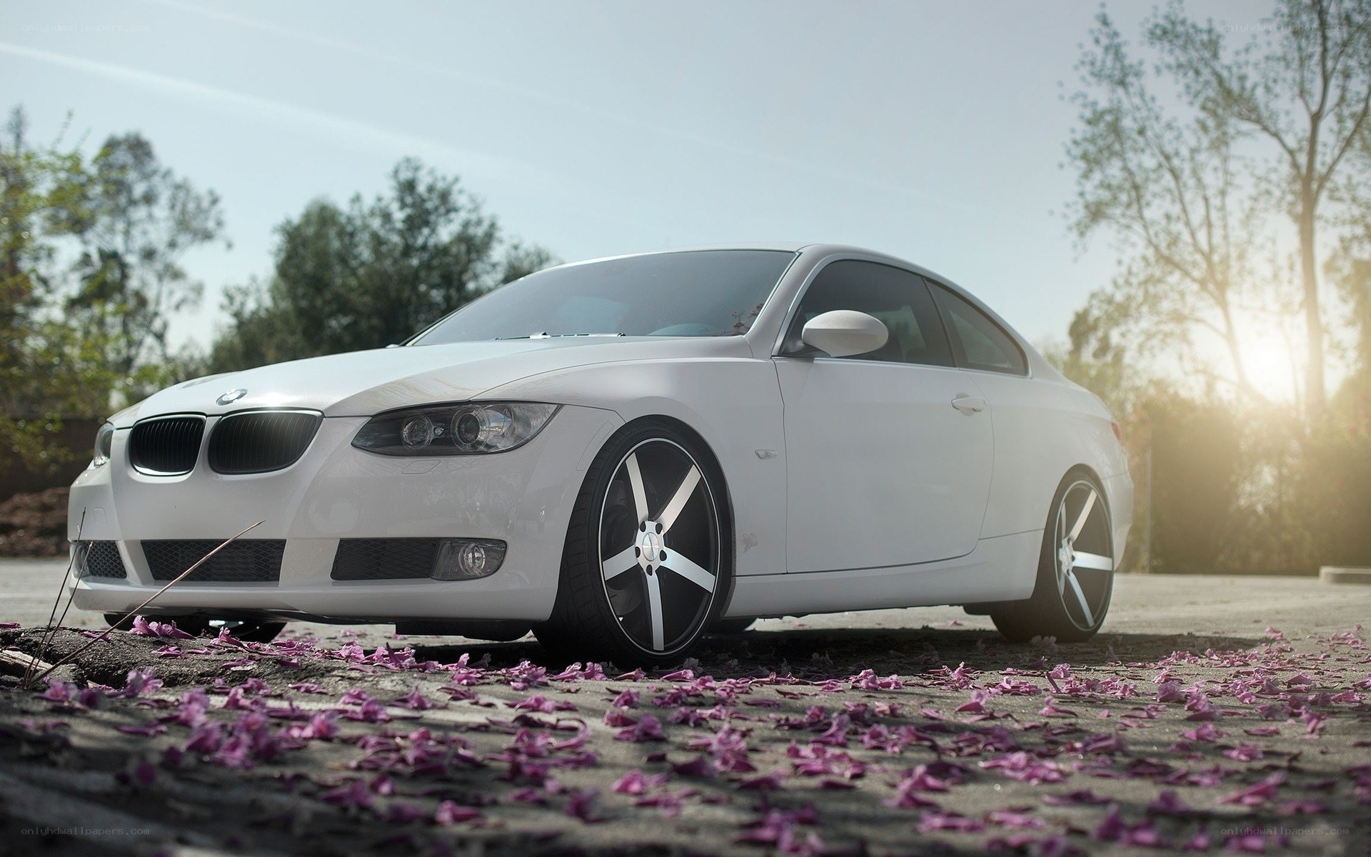 white bmw coupe with petals