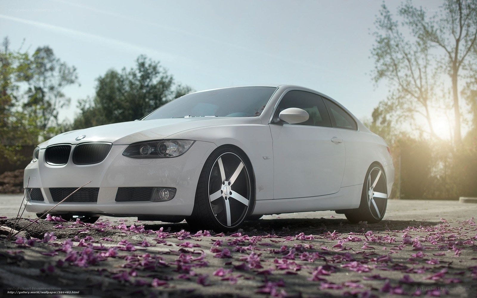white bmw coupe with petals