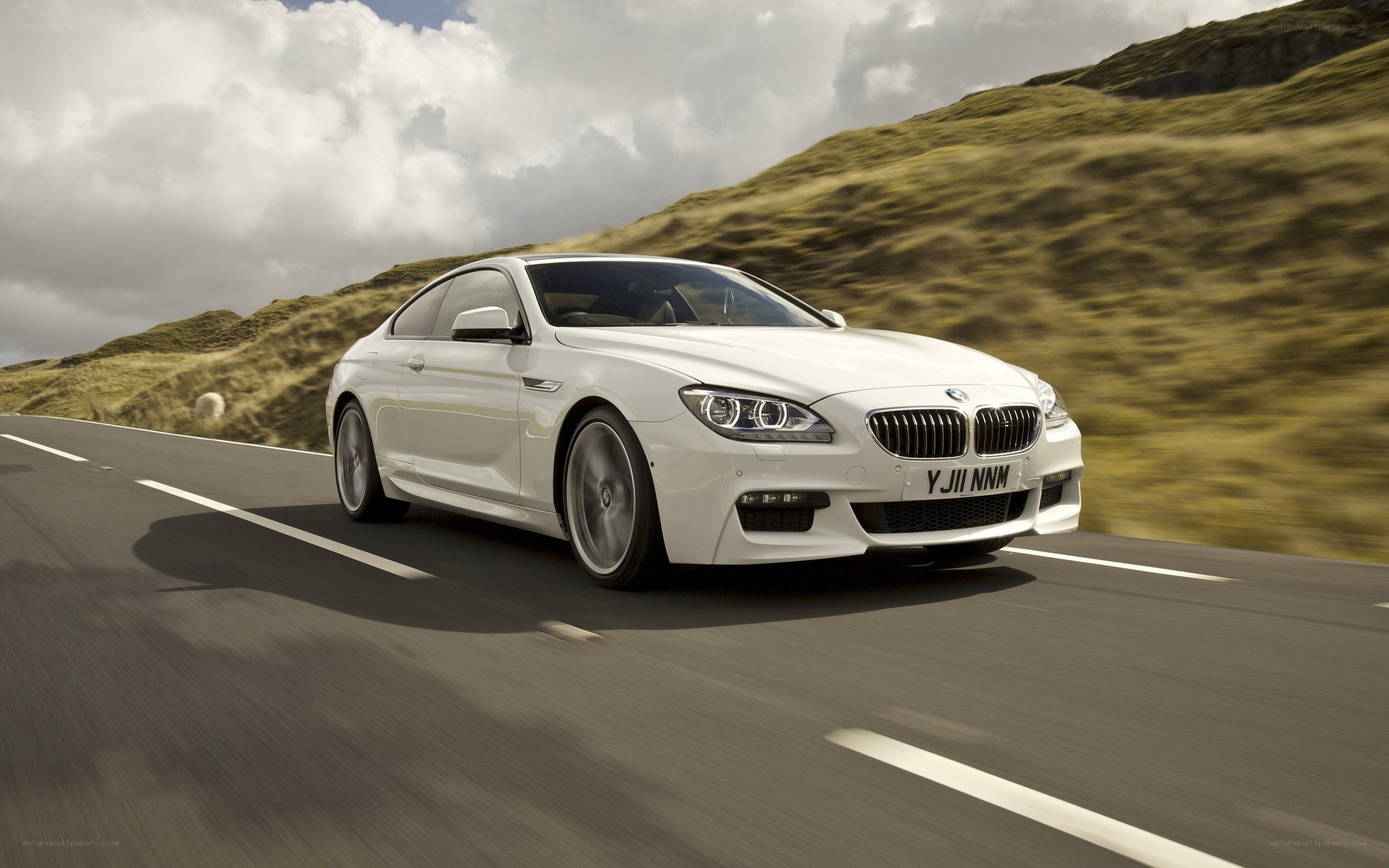 white bmw driving on road