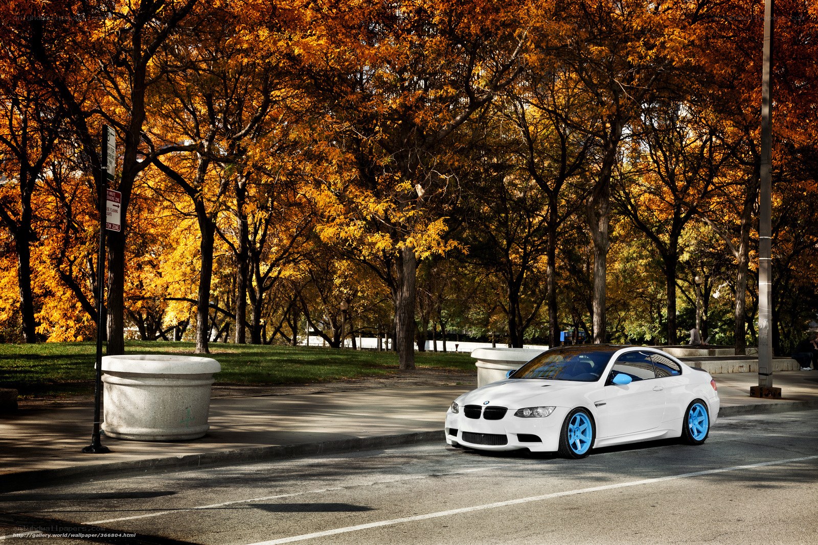 White BMW in autumn park