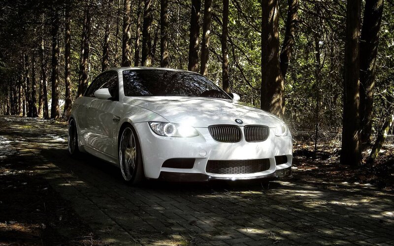 White BMW in forest