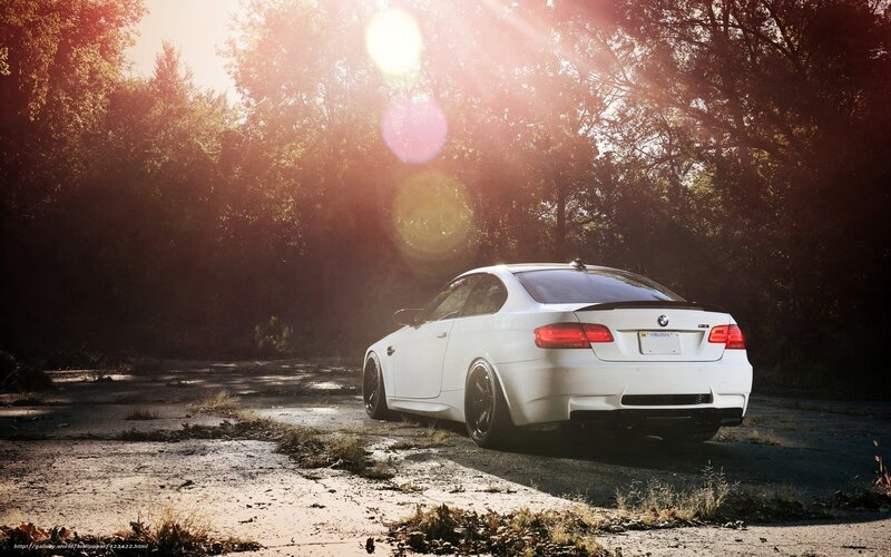 white bmw in forest