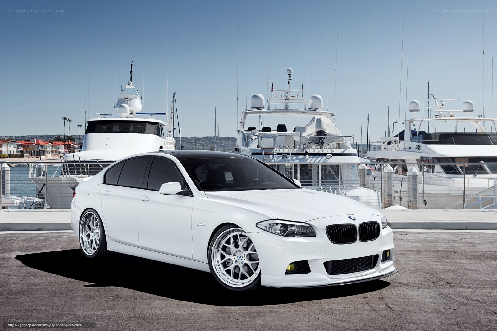 White BMW in marina