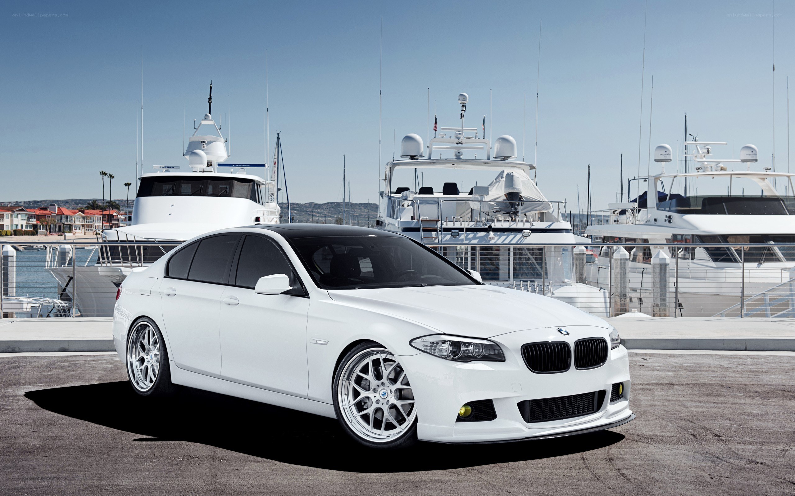 White BMW in marina
