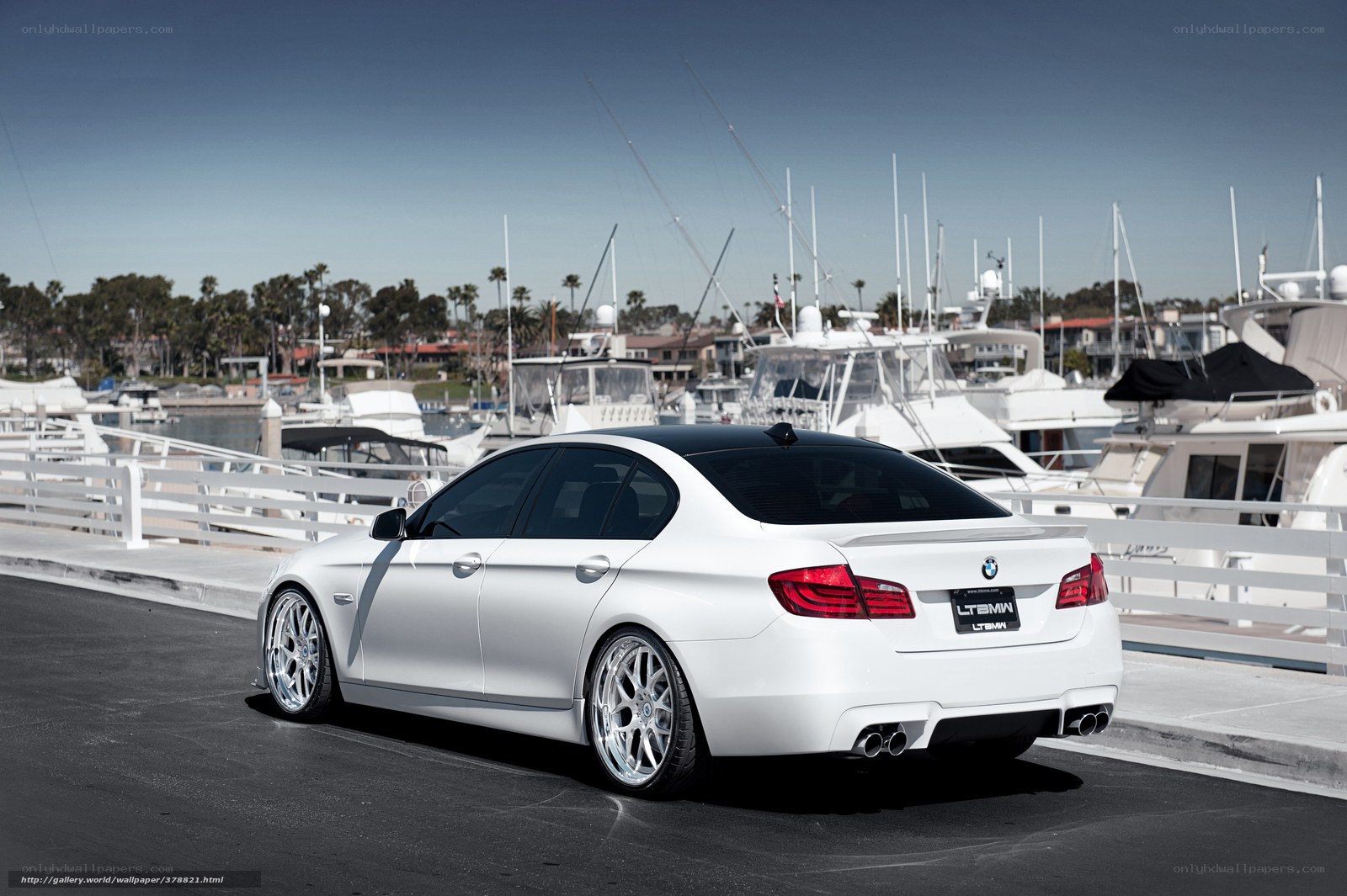 White BMW in marina