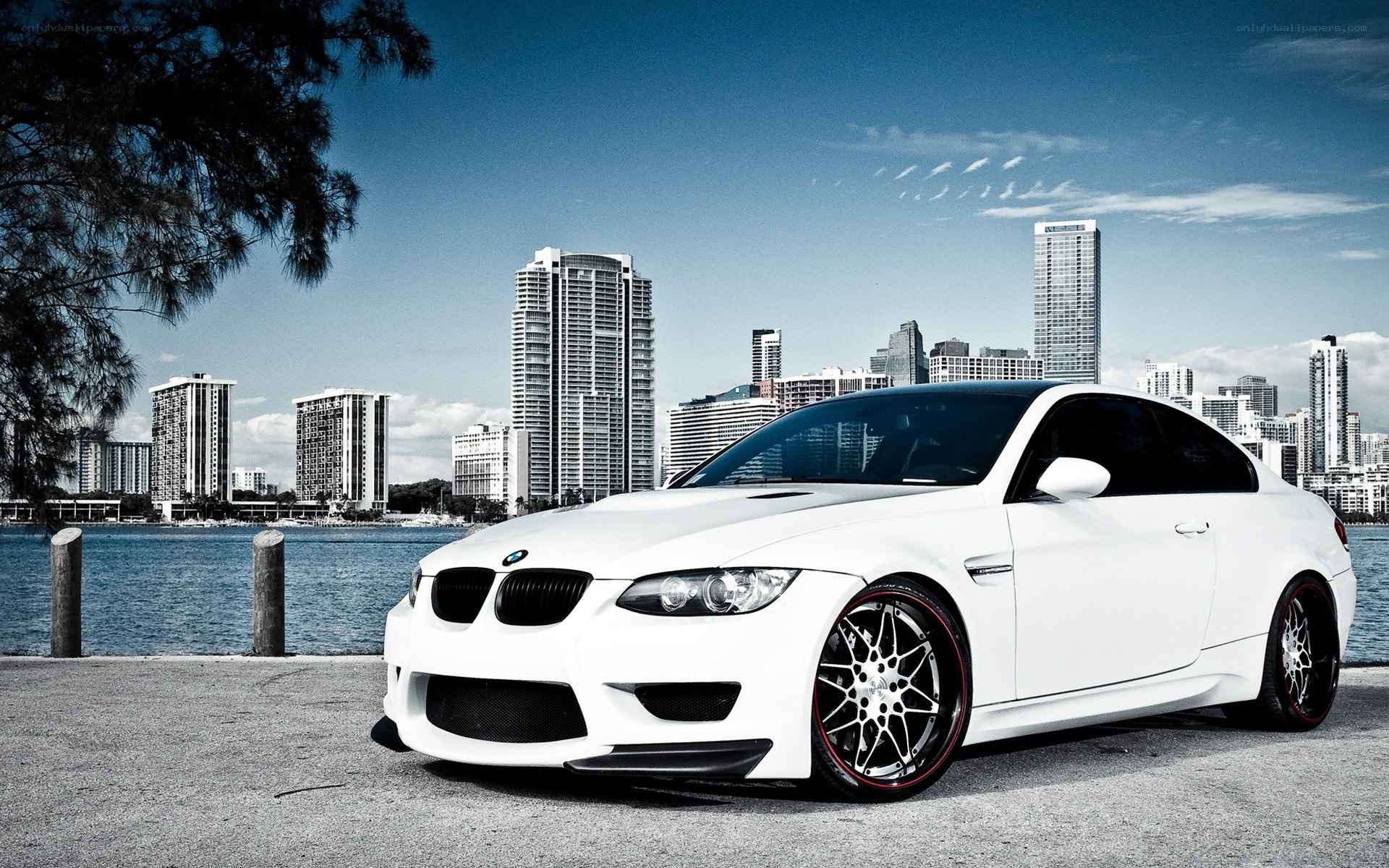 White BMW M3 by the water