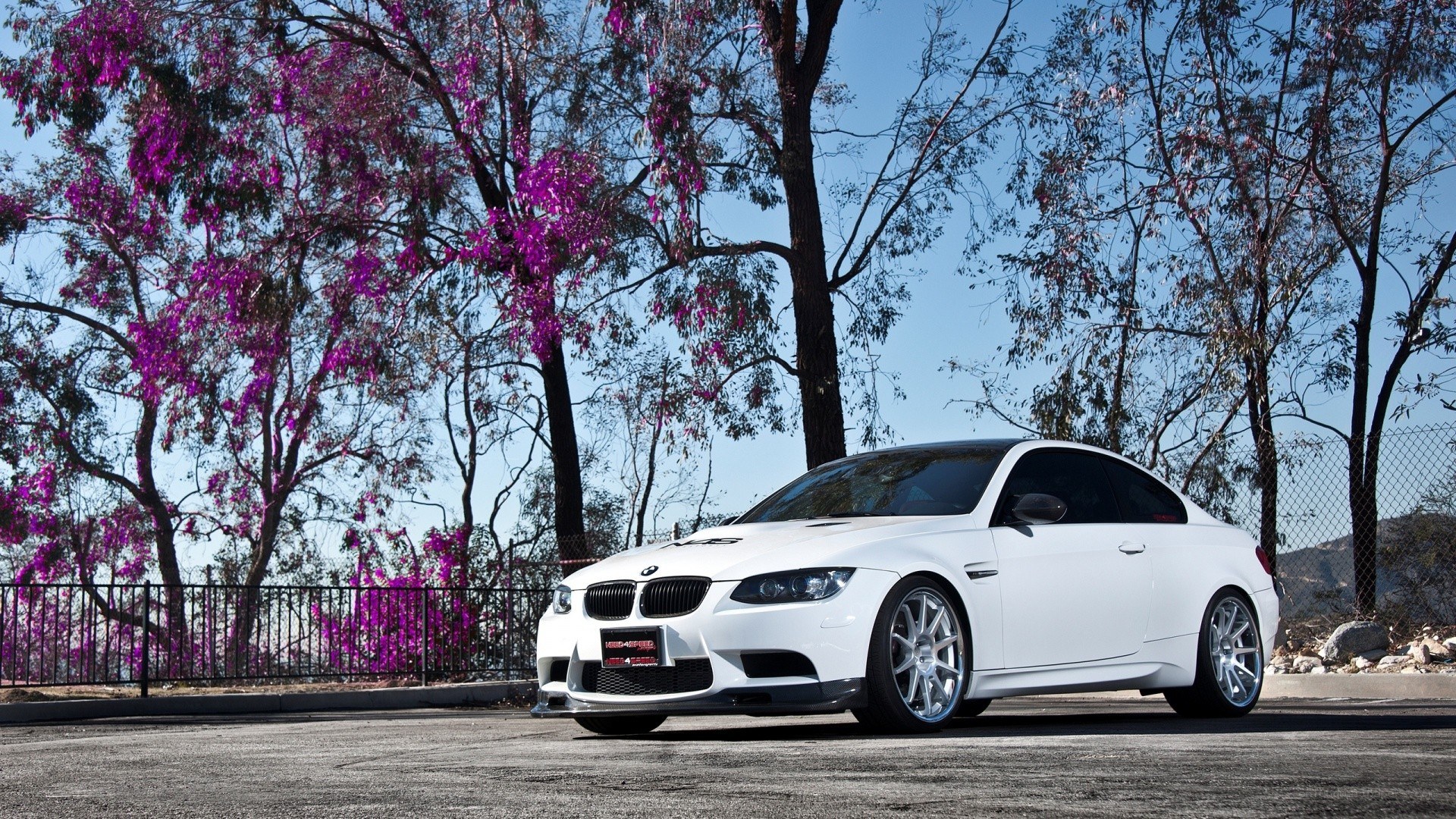 White BMW M3 coupe