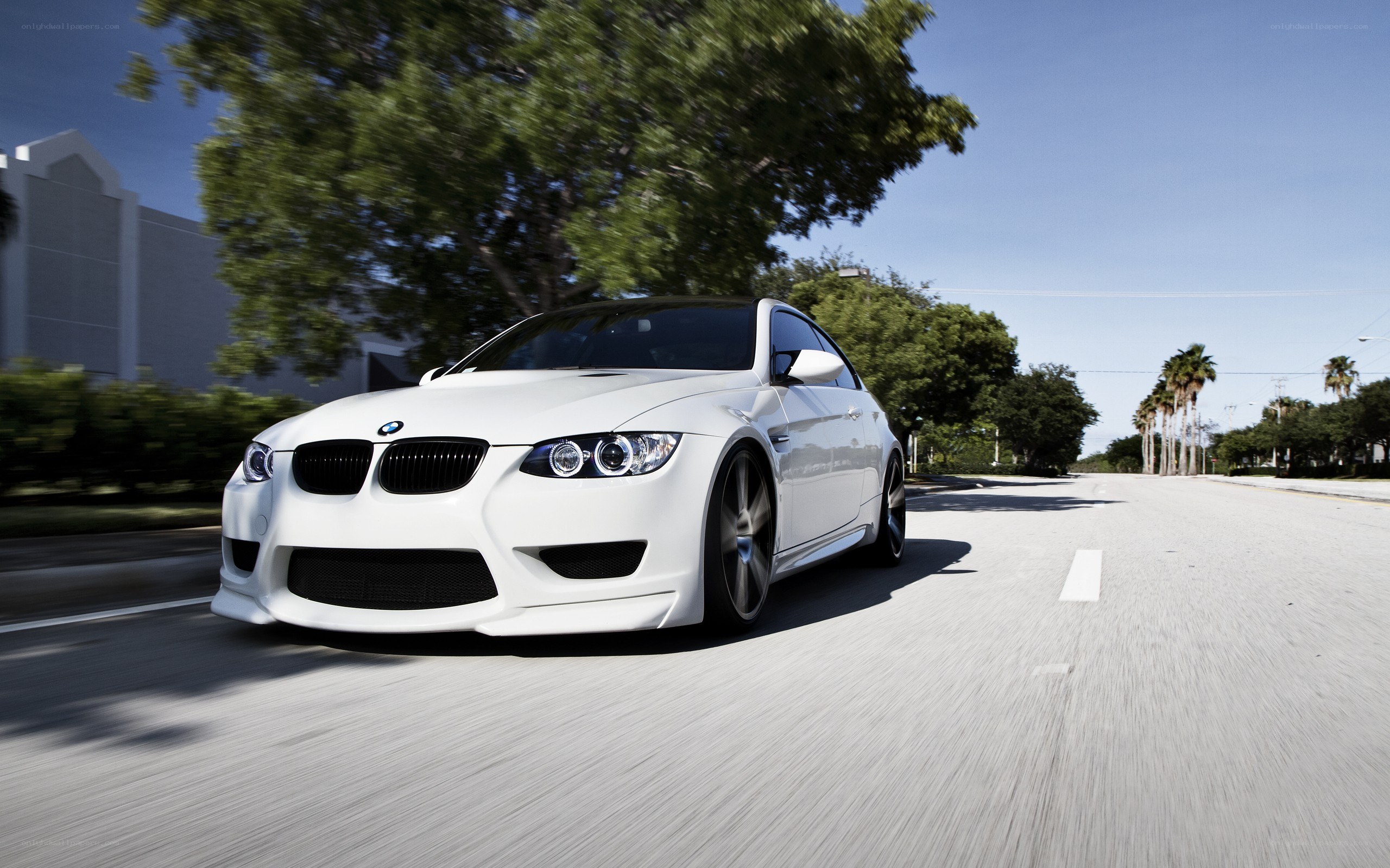 white bmw m3 driving on road