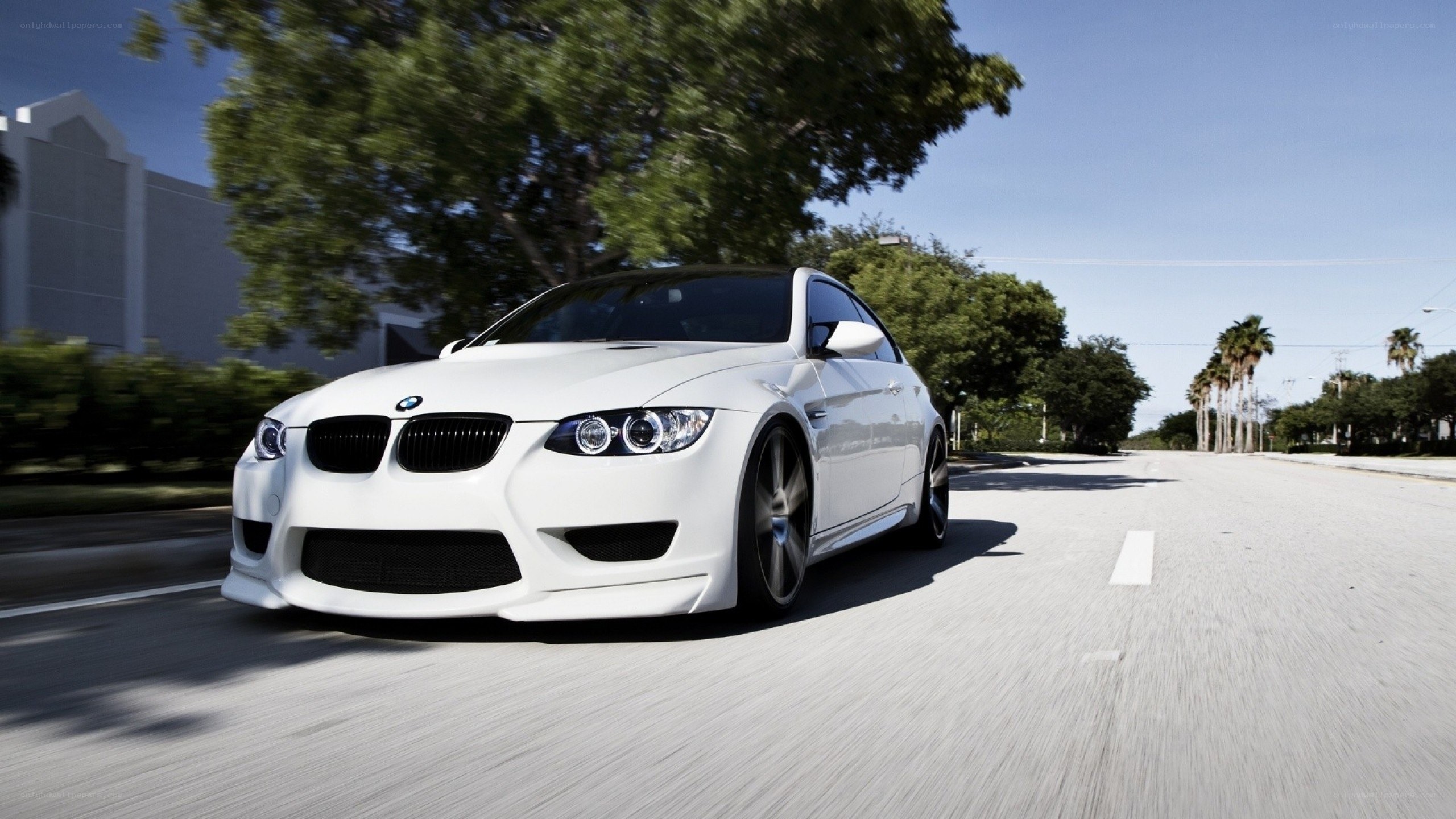 white bmw m3 driving on road