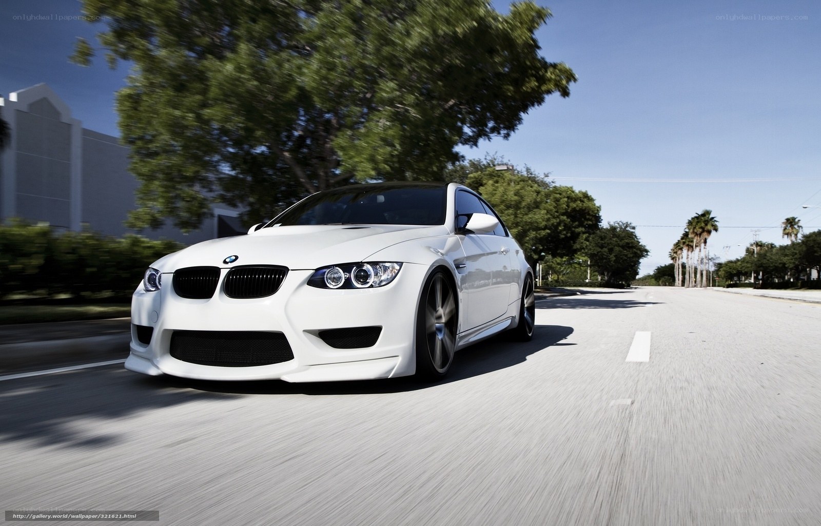 white bmw m3 driving on road