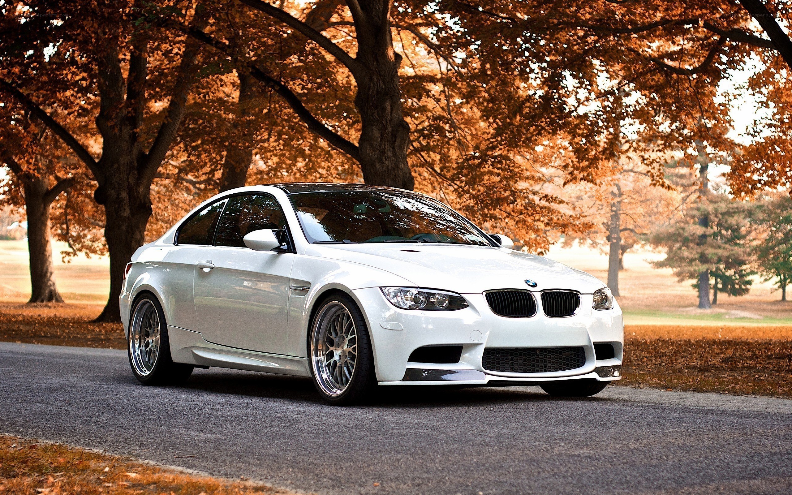 White BMW M3 in autumn