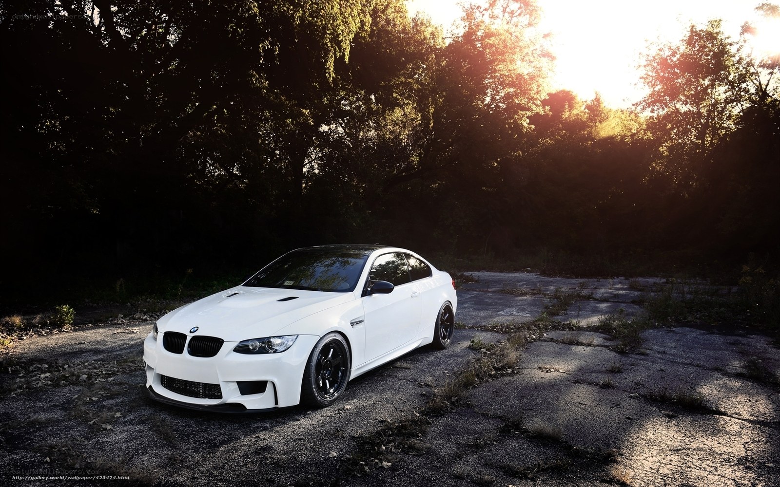 white bmw m3 in forest