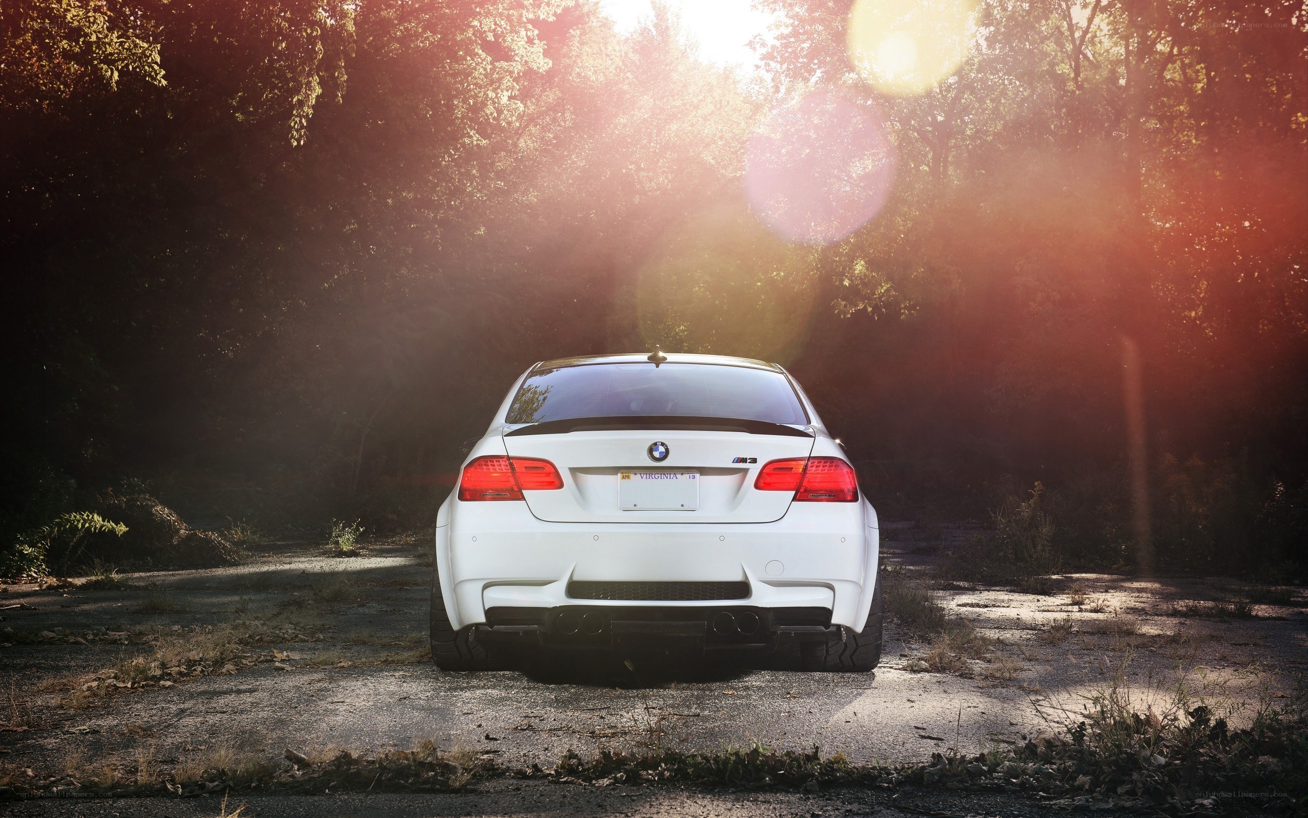 White BMW M3 in forest