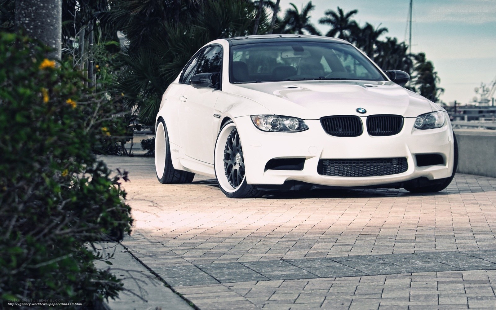 white bmw m3 on a paved path
