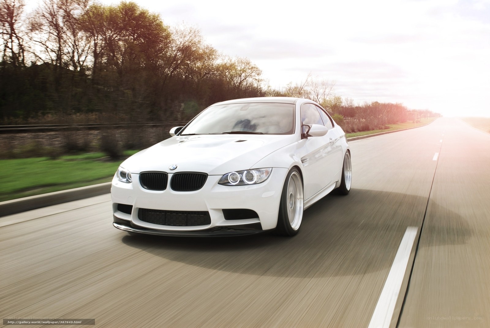 white bmw m3 on road