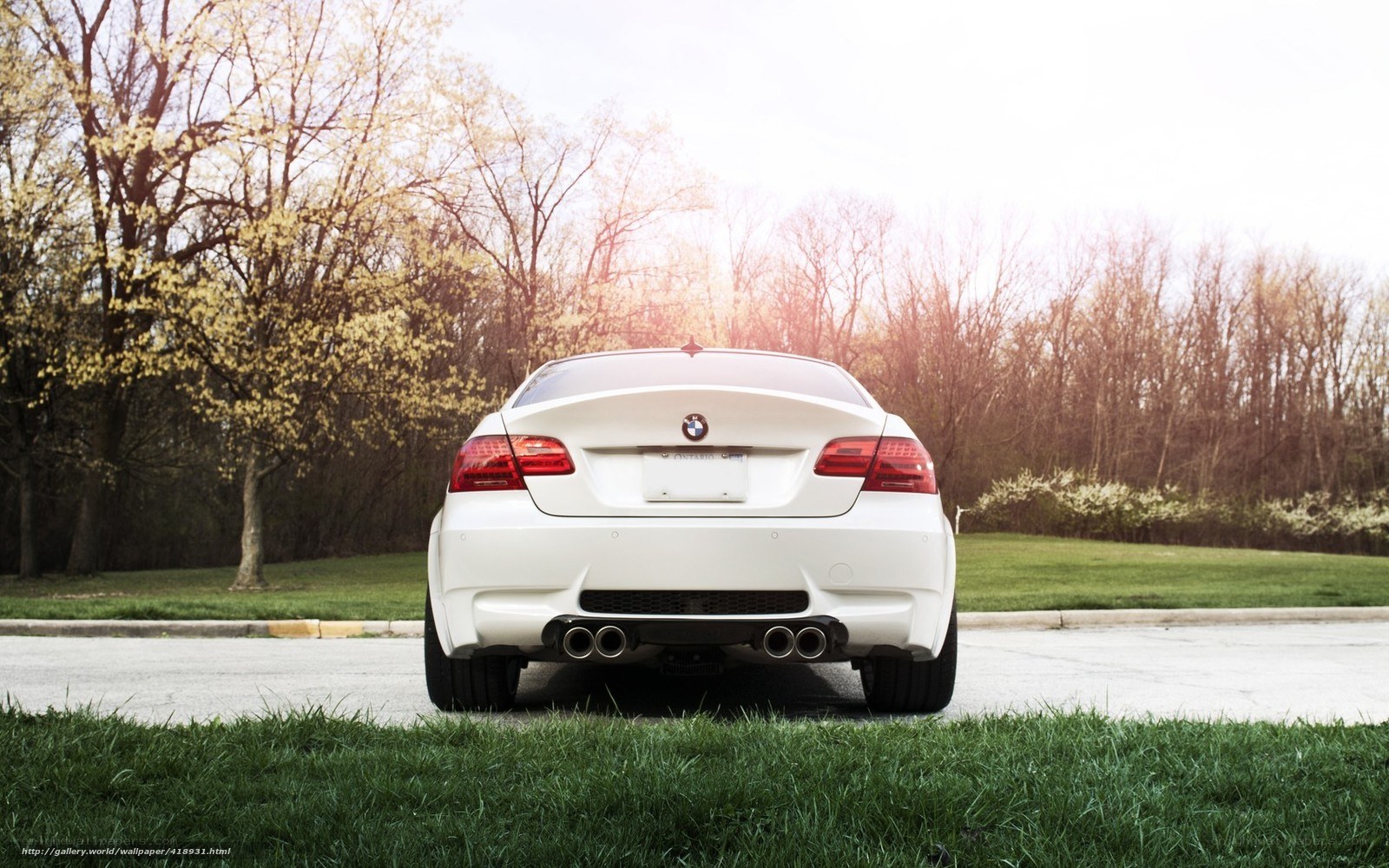 white bmw m3 rear view