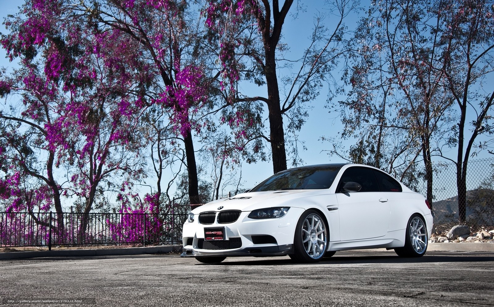 white bmw m3 with purple flowers