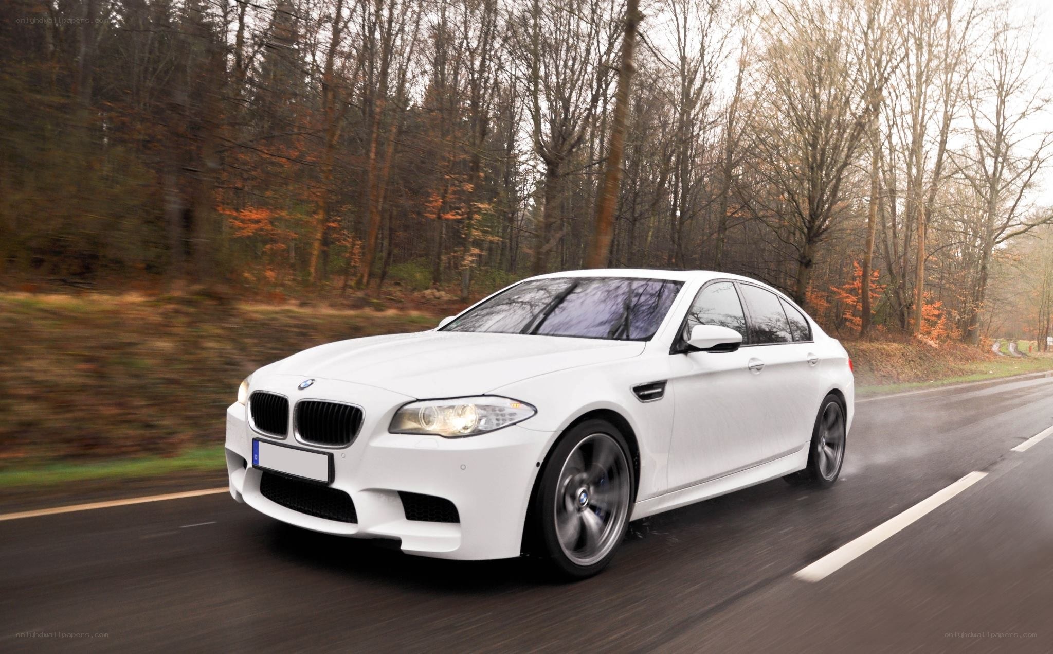 white bmw m5 driving on road