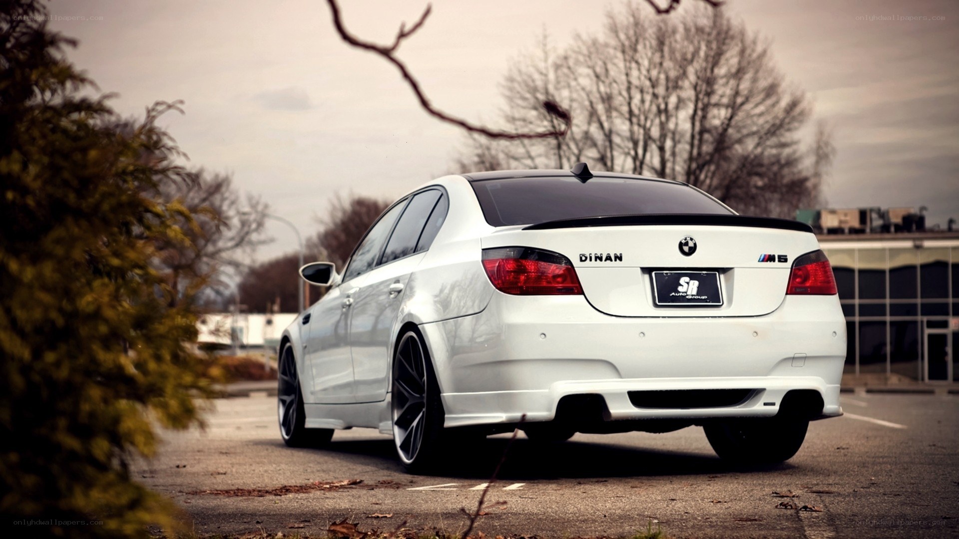 white bmw m5 from rear
