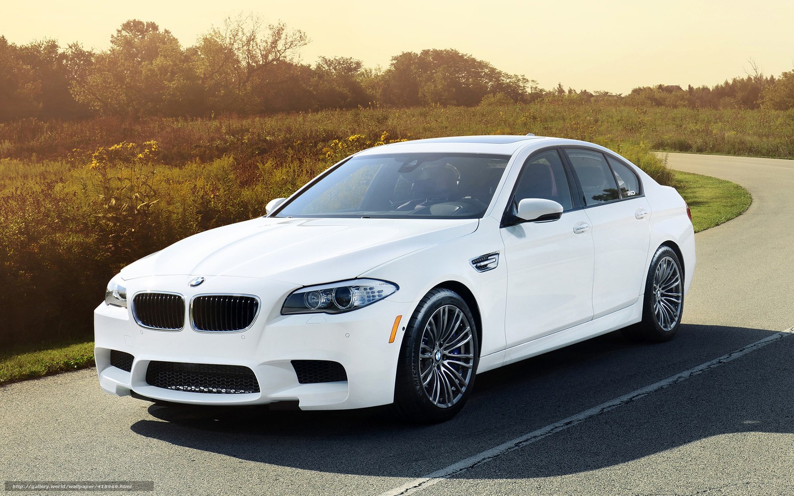 White BMW M5 on a country road