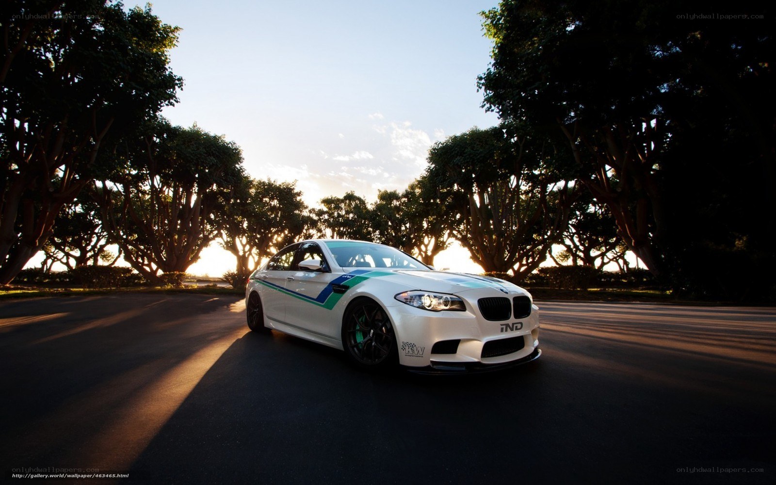 white bmw m5 on a tree-lined road