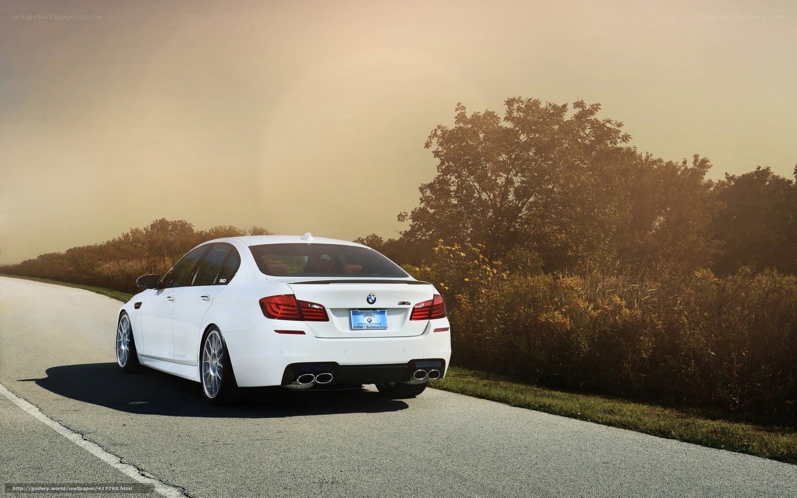 white bmw m5 on country road