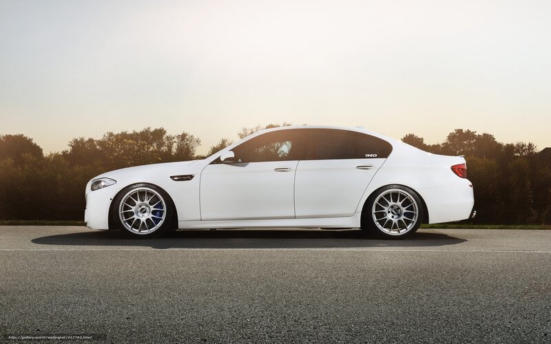 white bmw m5 on road