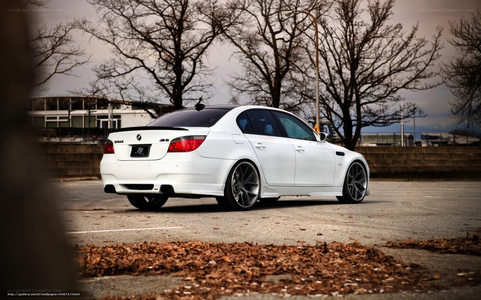 white bmw m5 on street