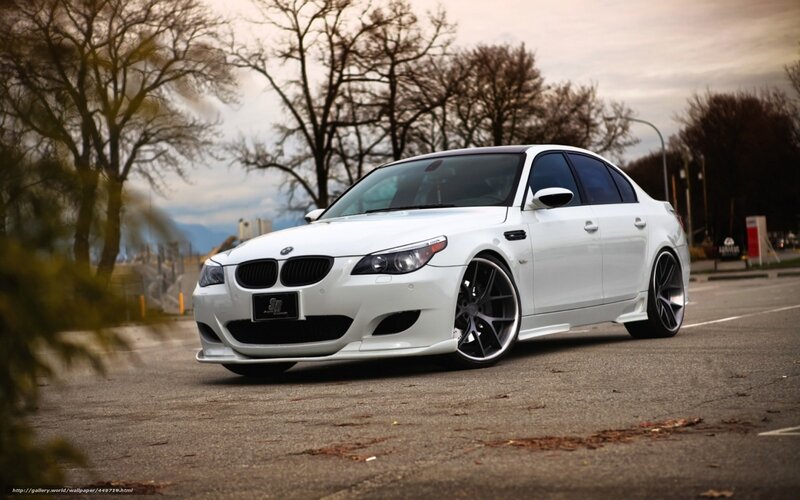White BMW M5 Sedan — Dramatic, Autumn, Photograph, Car