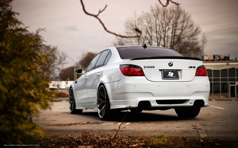 White BMW M5 Sedan — Dramatic, Autumn, Photograph