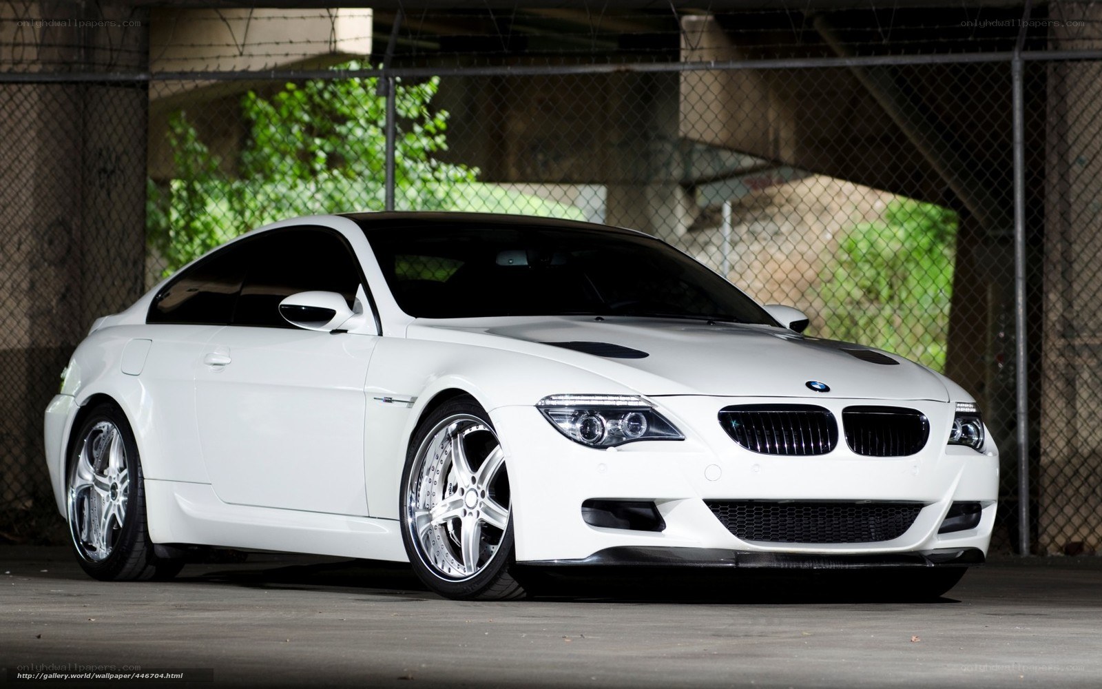 white bmw m6 coupe