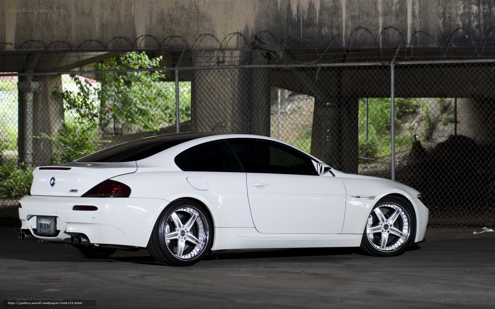 white bmw m6 coupe