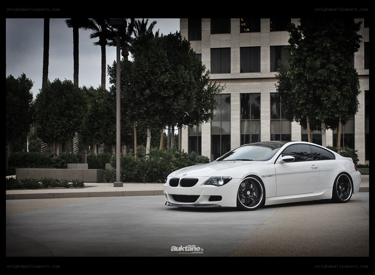white bmw m6 coupe