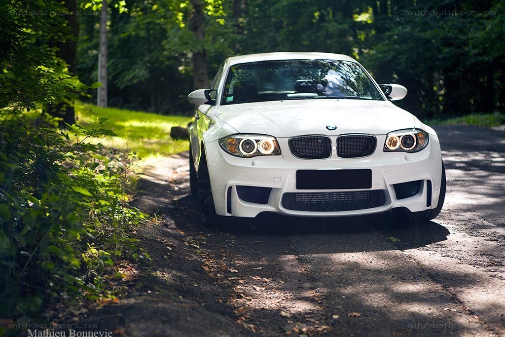 White BMW on a forest road
