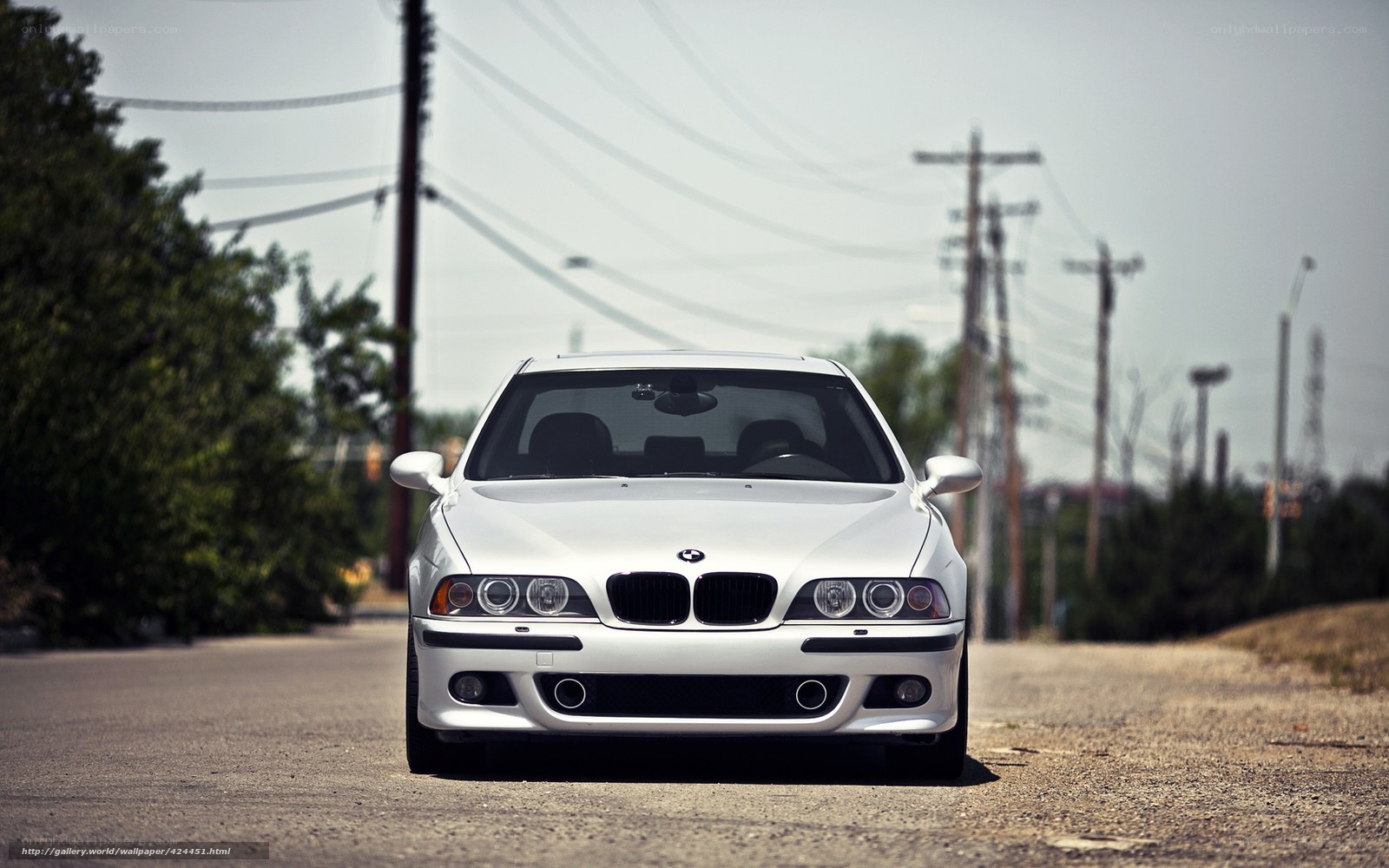white bmw on a road