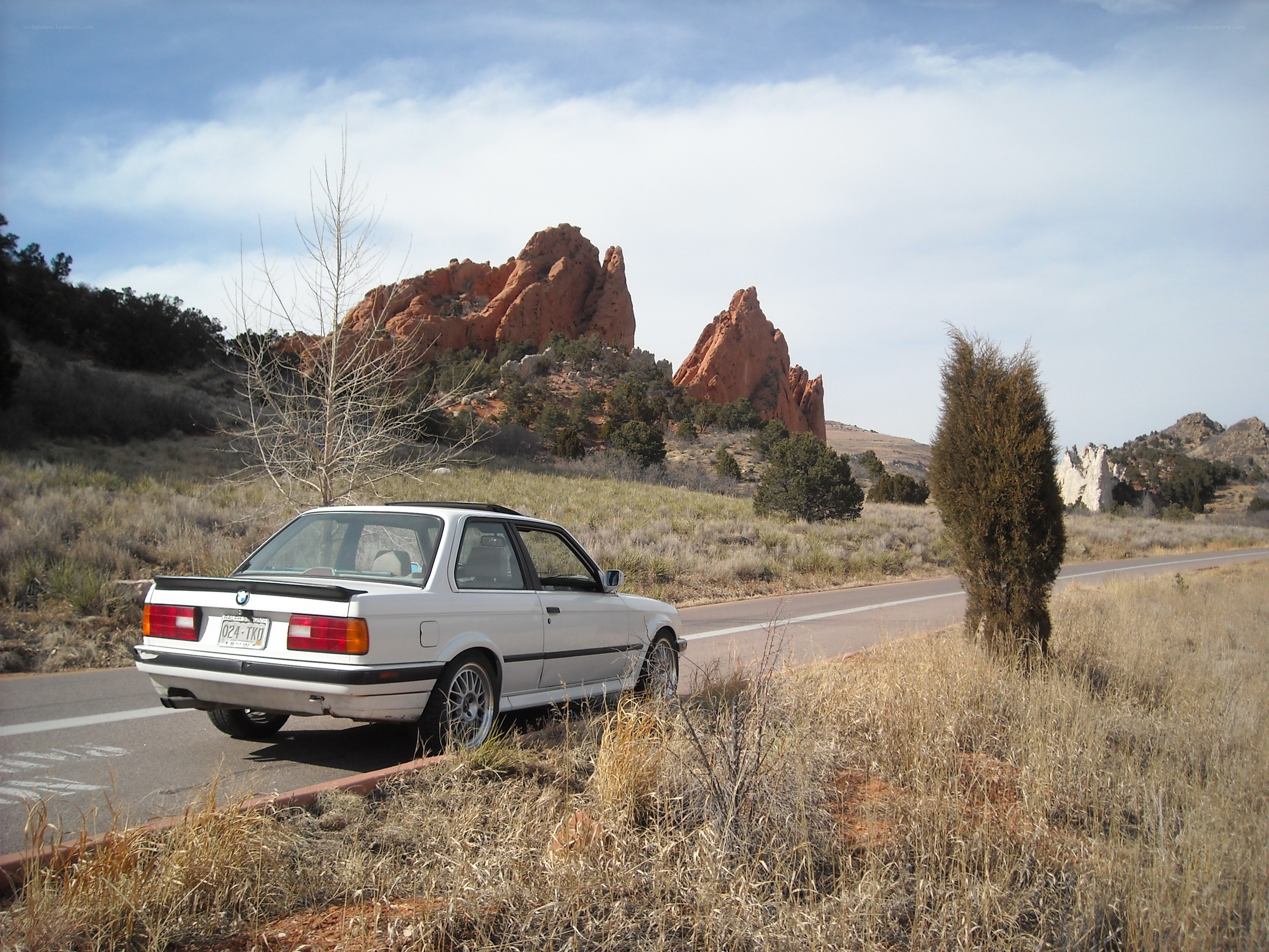 White BMW on a scenic road