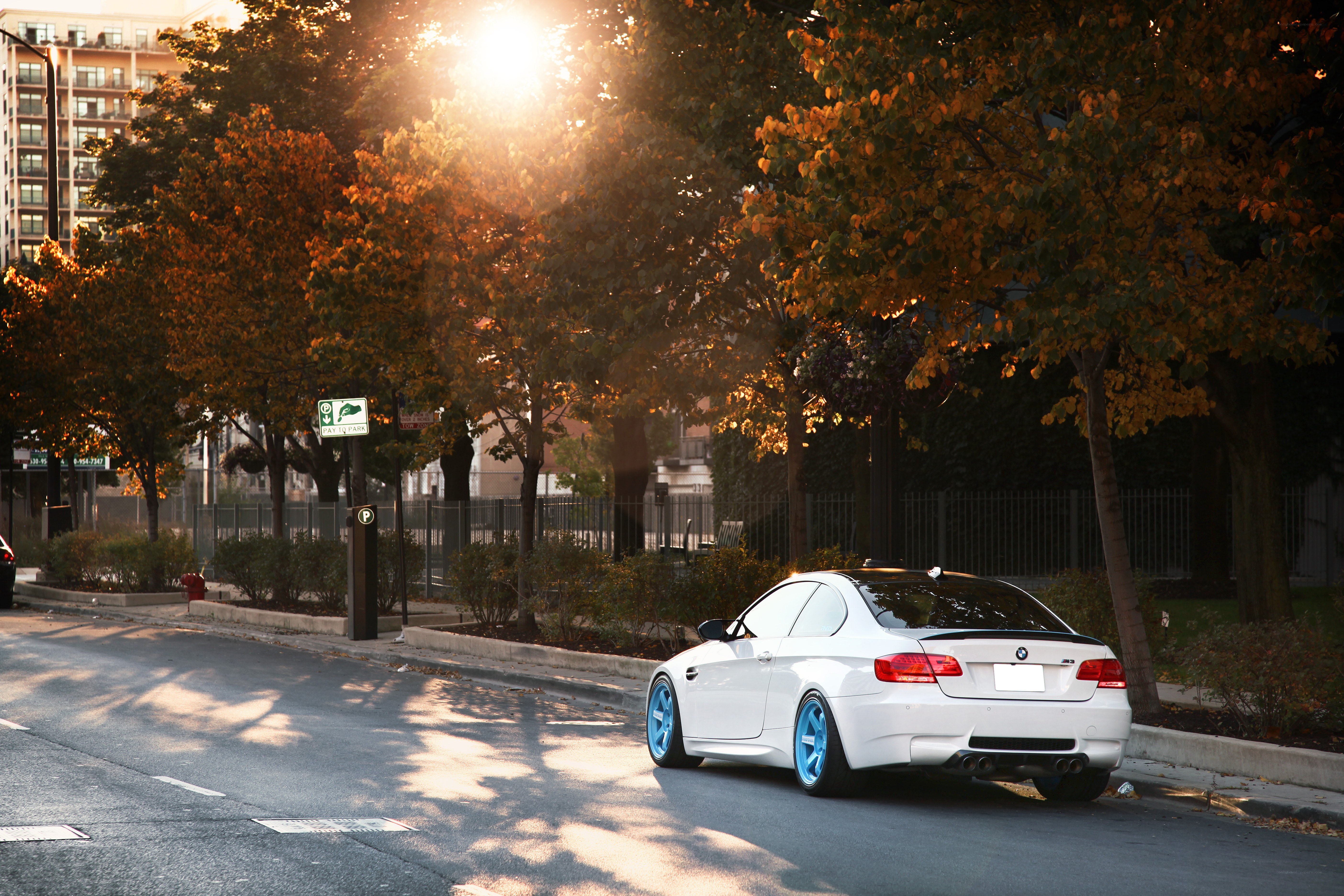 White BMW on a tree-lined street