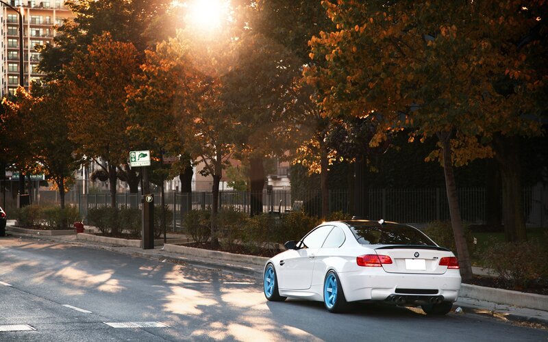 White BMW on a tree-lined street