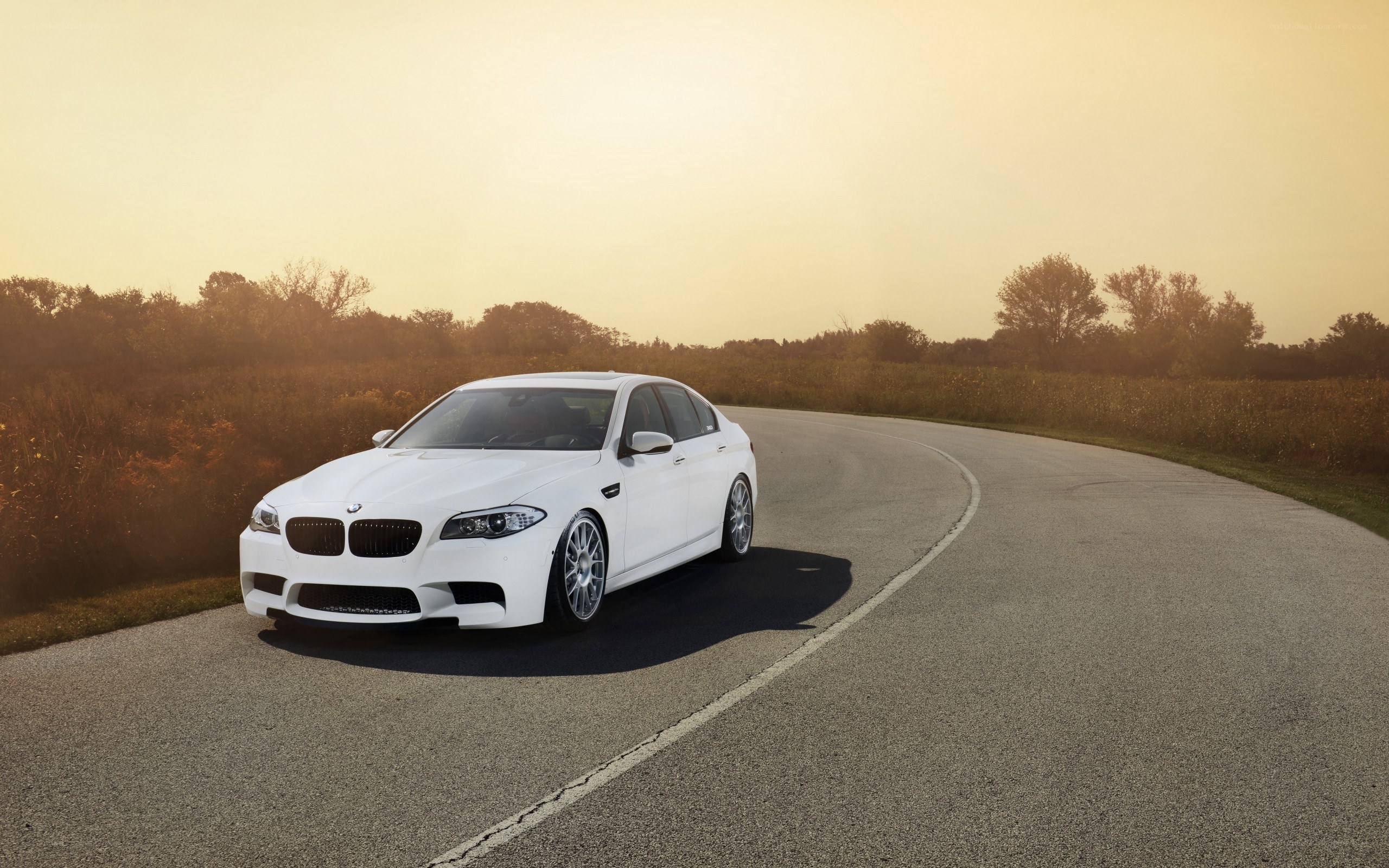 white bmw on a winding road