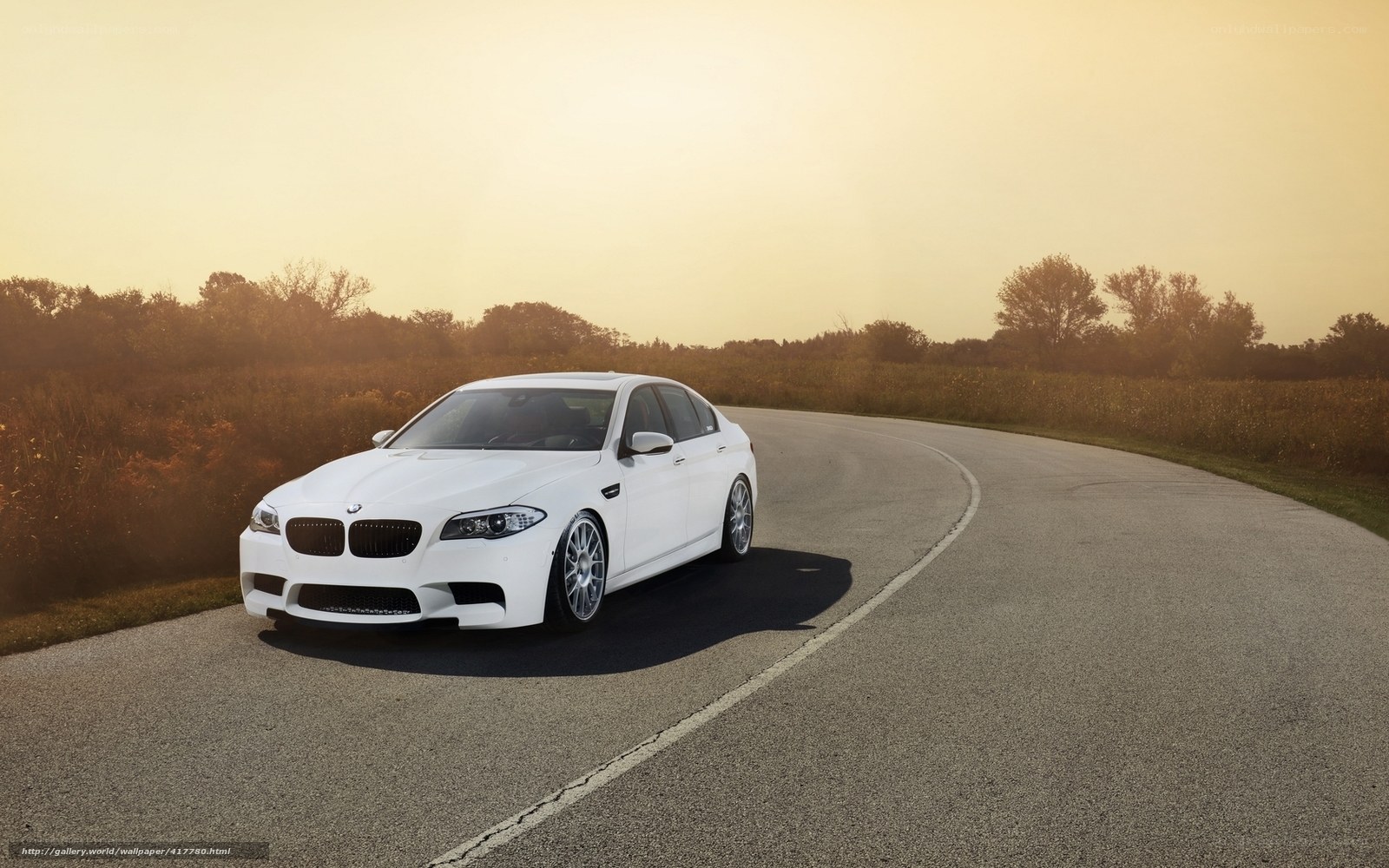 white bmw on a winding road