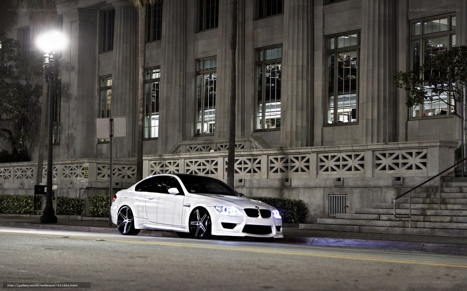 White BMW on city street at night