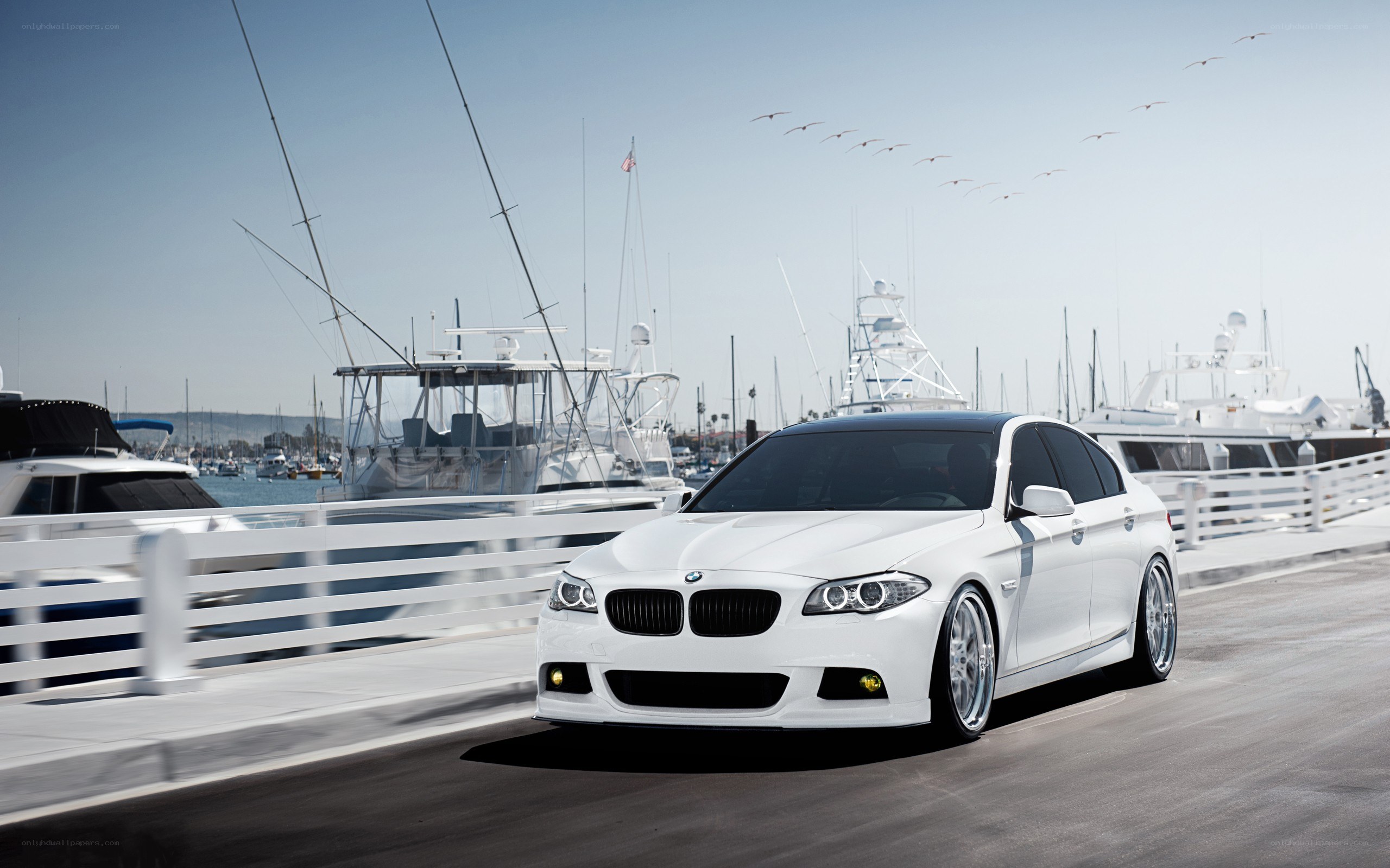 White BMW on marina dock