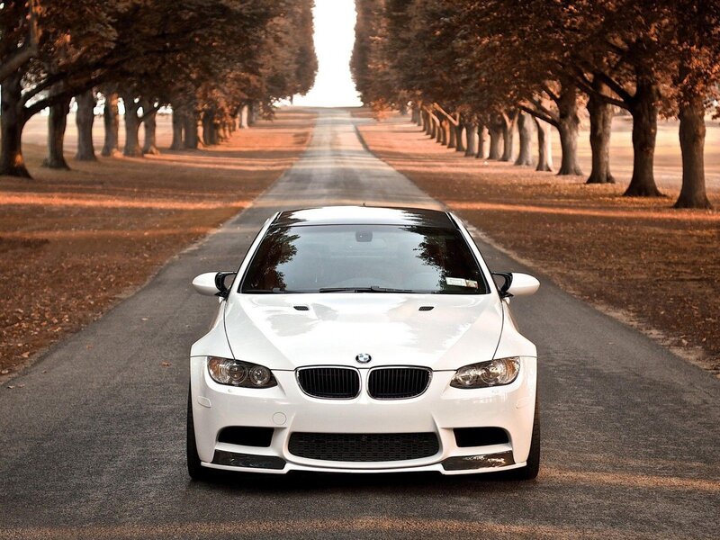 white bmw on tree-lined road