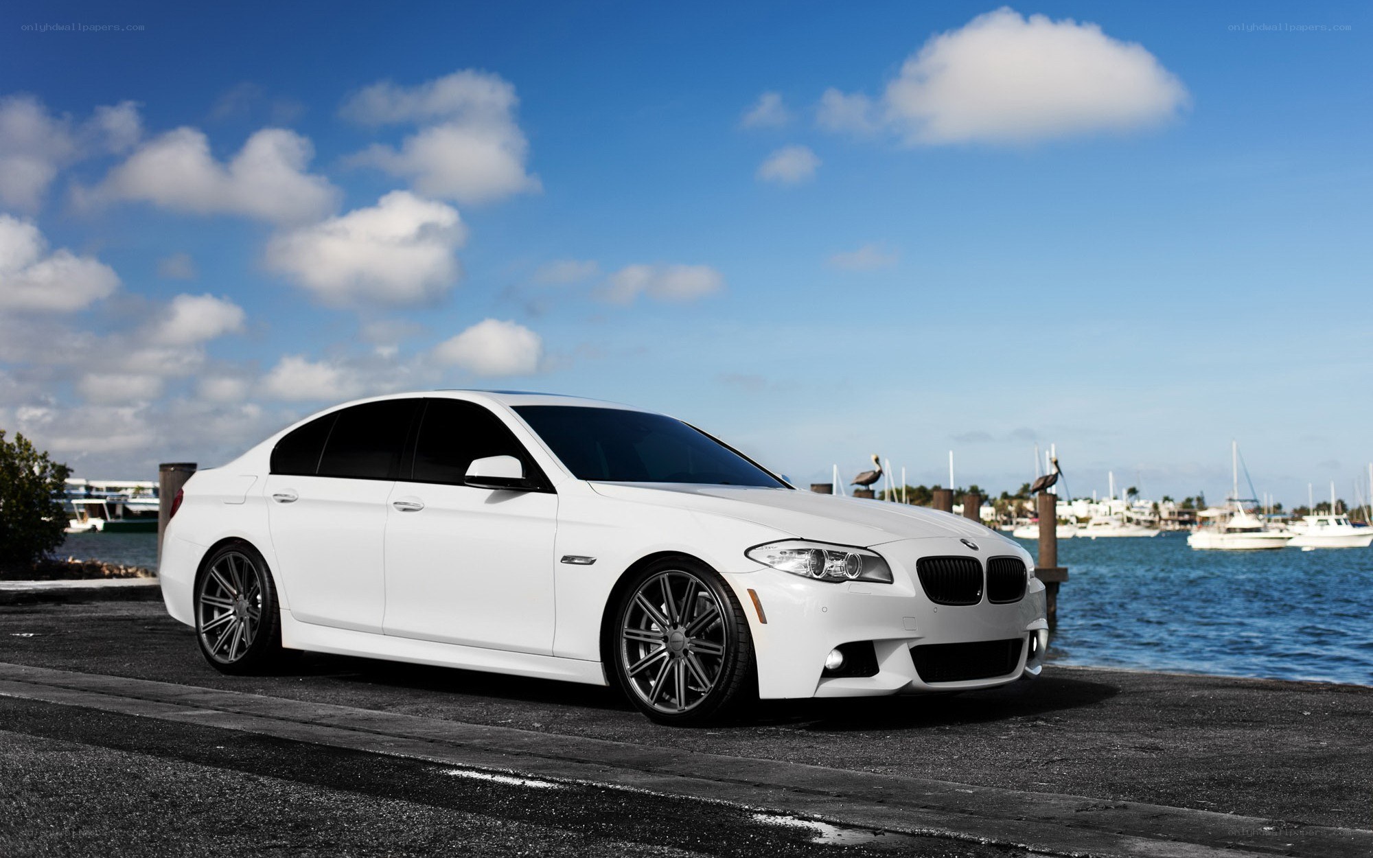 White BMW sedan by the water