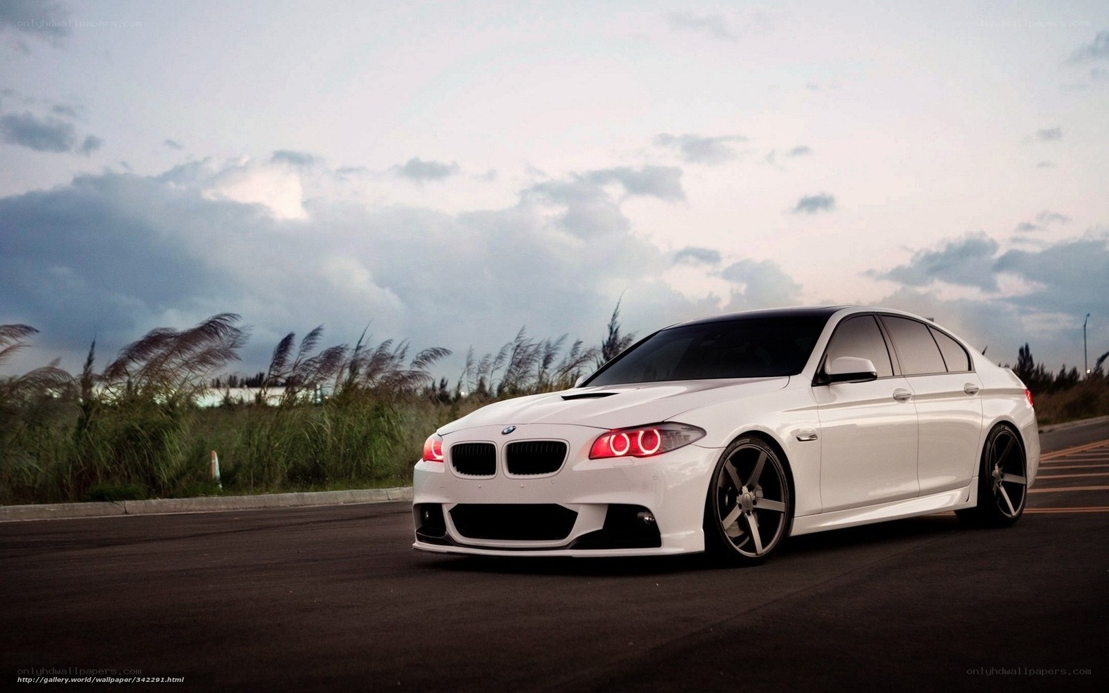 white bmw sedan on road