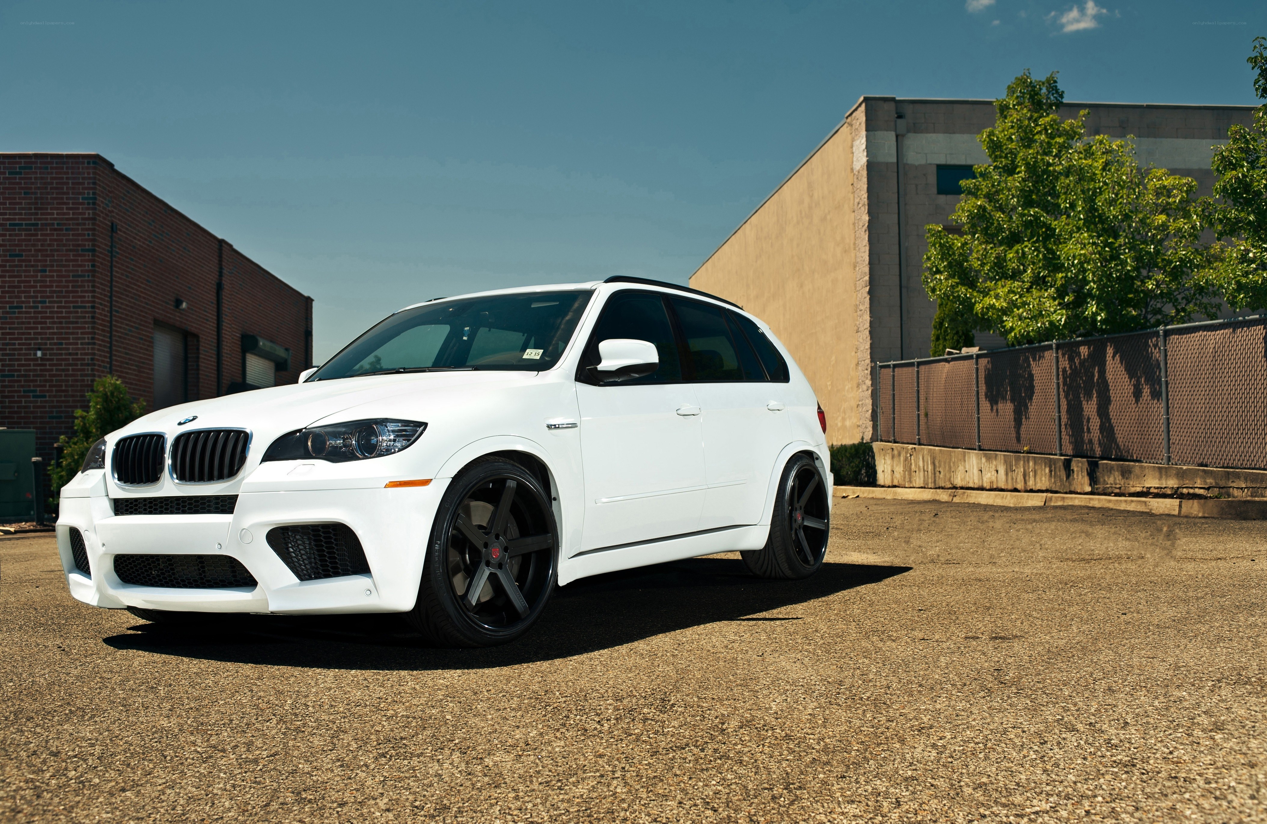 white bmw suv on asphalt