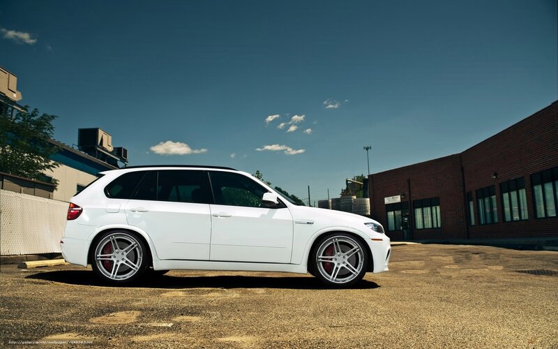 white bmw suv on asphalt