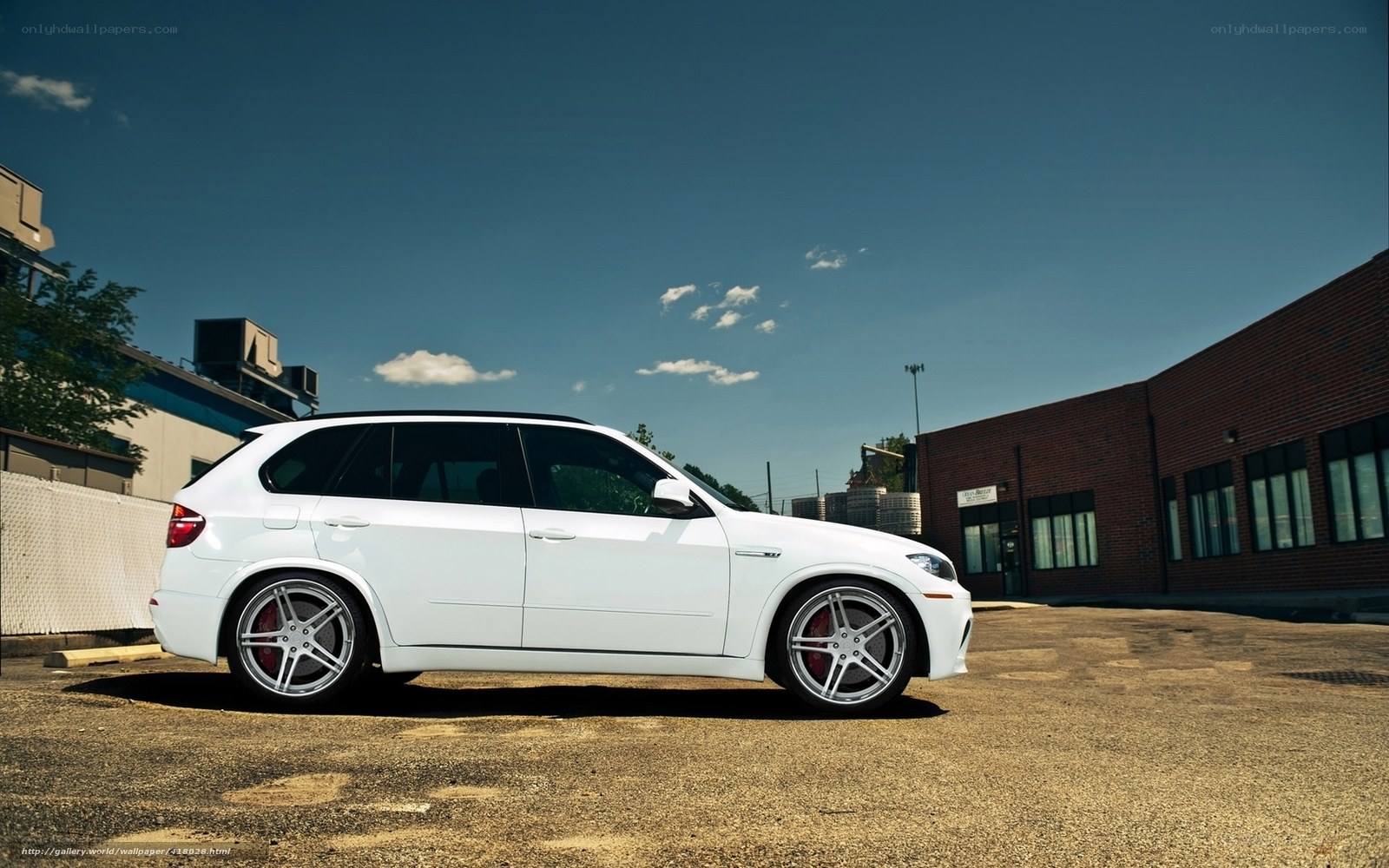 white bmw suv on asphalt