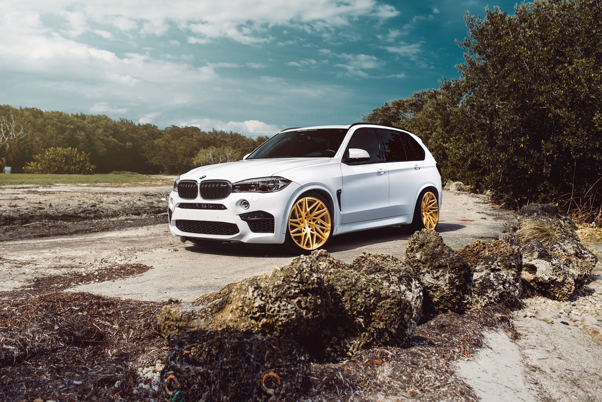 White BMW SUV on coastal path